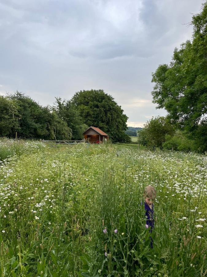 Nachtegael Hoekhuis, Knusse Woning Met Prachtig Vergezicht Kluisbergen Exterior foto